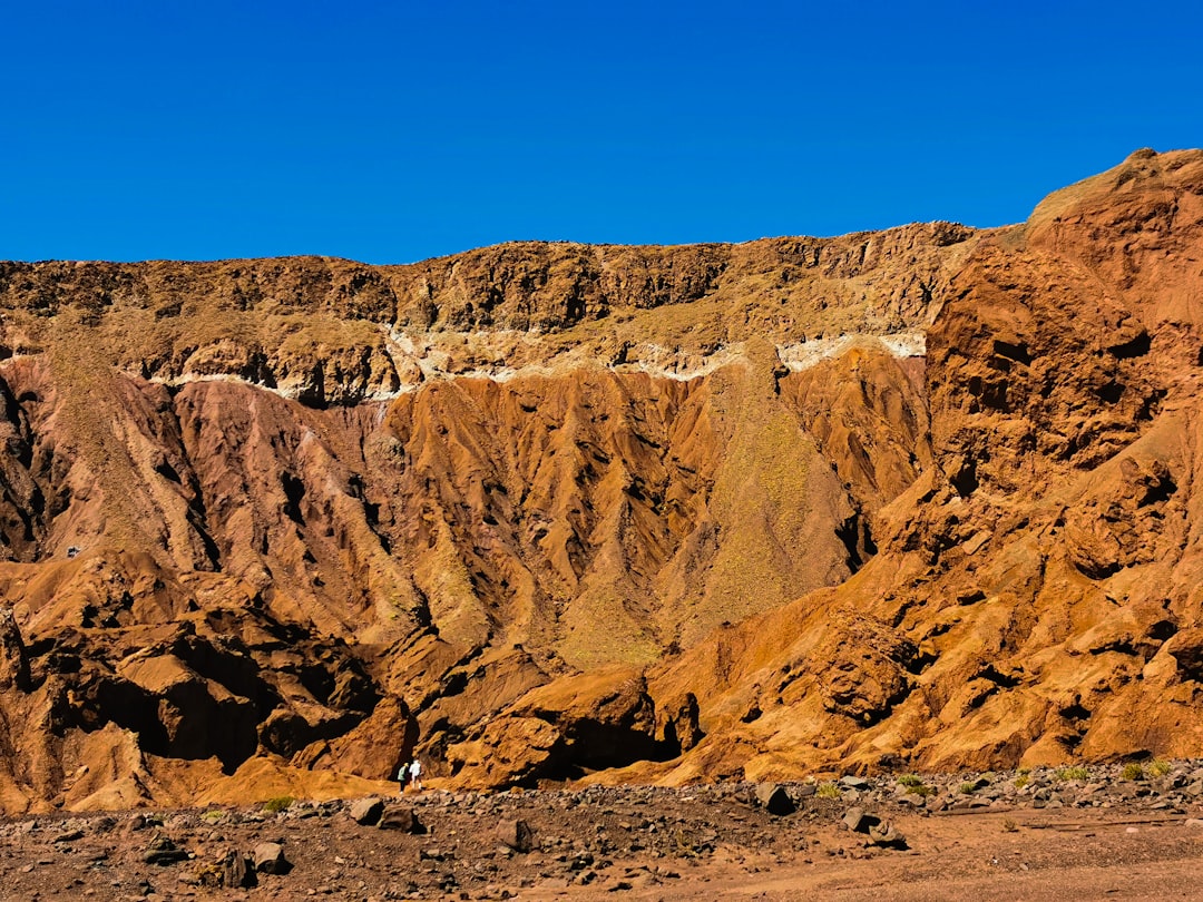 Laguna Cejar, Atacama