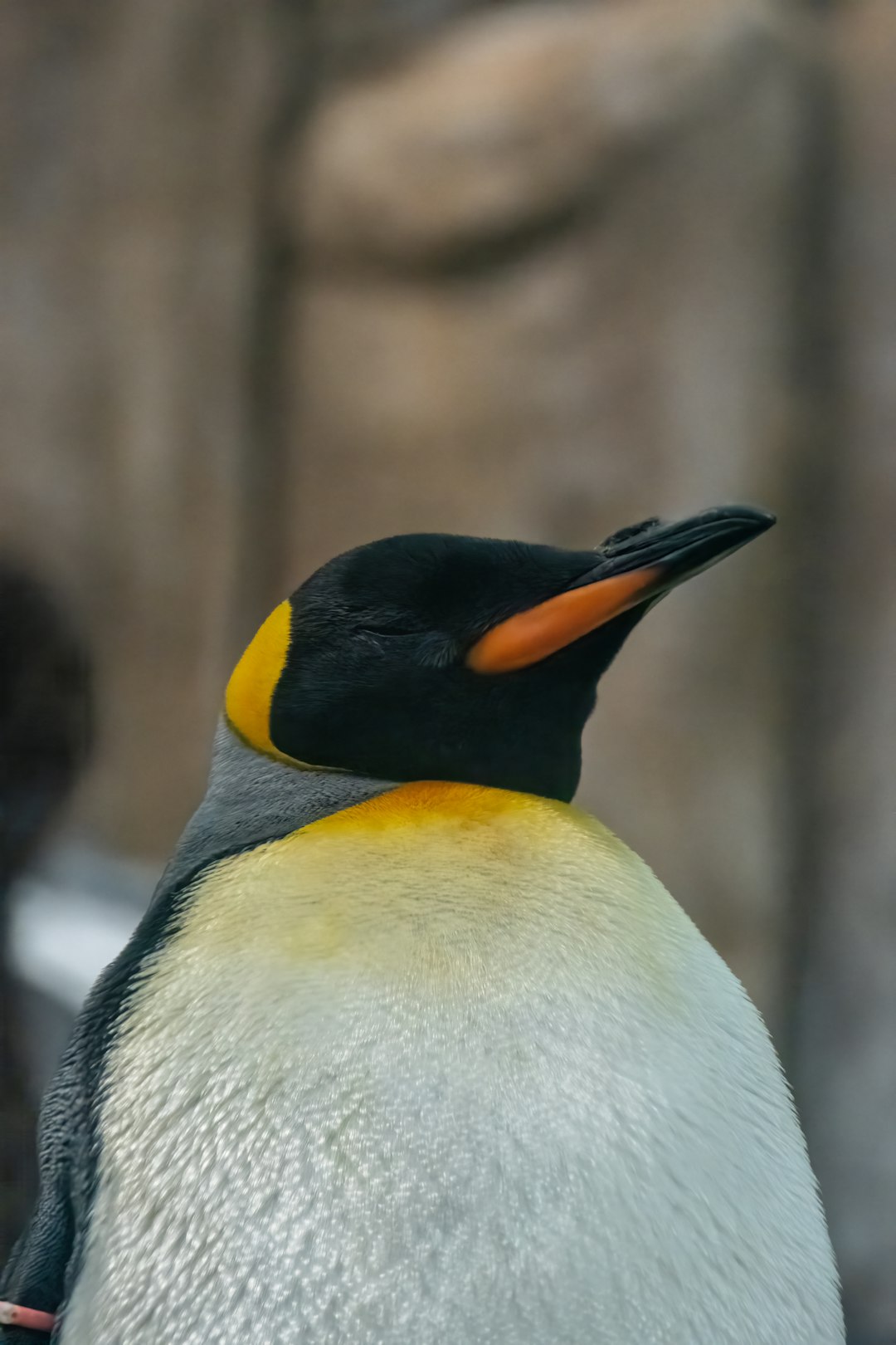 Archipiélago Juan Fernández