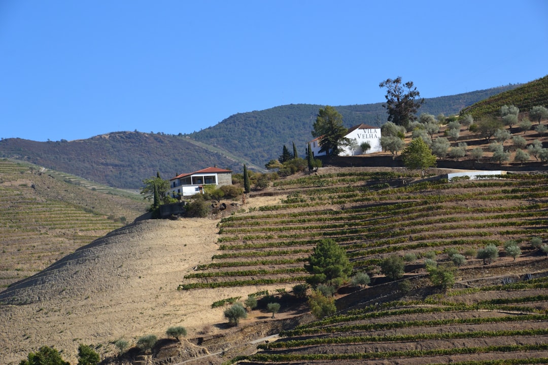 Foto de usuario: Amanecer en Elqui